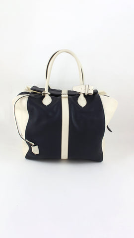 Limited Edition Speedy North-South Bag